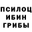 Галлюциногенные грибы Psilocybe Tertan Adrian
