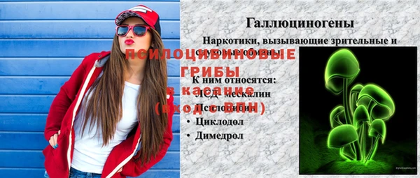 spice Киреевск