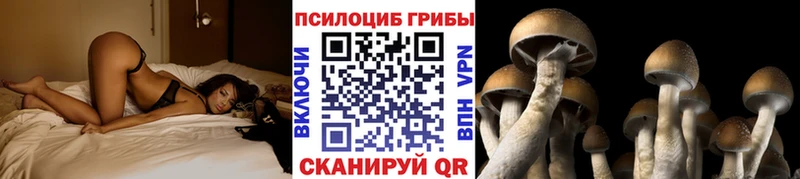 Галлюциногенные грибы мухоморы  Купить  Шарья 