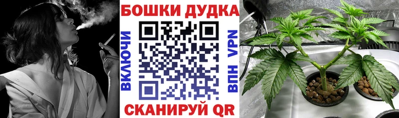 Купить  Шарья  Каннабис Bruce Banner 